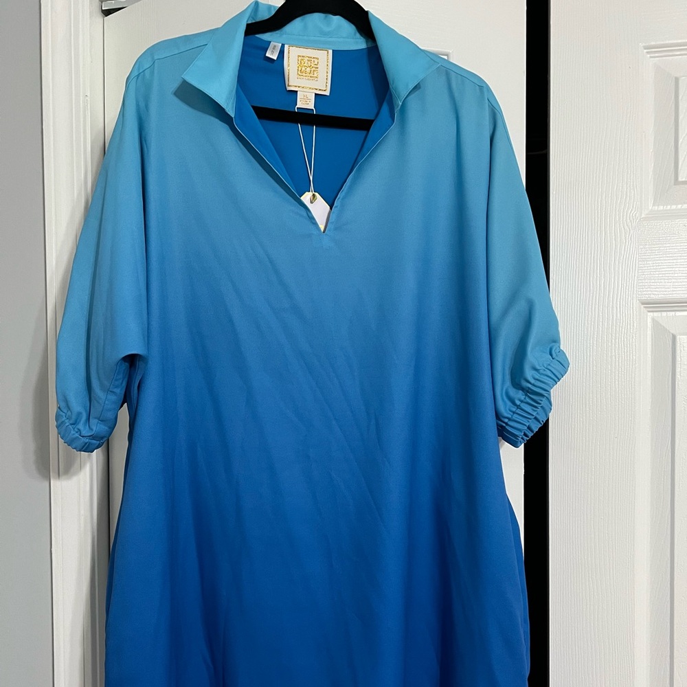 BNWT Emily McCarty blue ombré dress